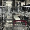 Used Blomberg 24 Build In Panel Ready Dishwasher DWT51600FBI For Sale (5)